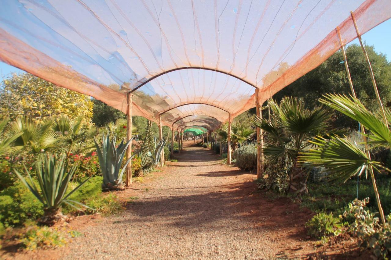 Ecolodge Espace Tamount Demnat Eksteriør billede